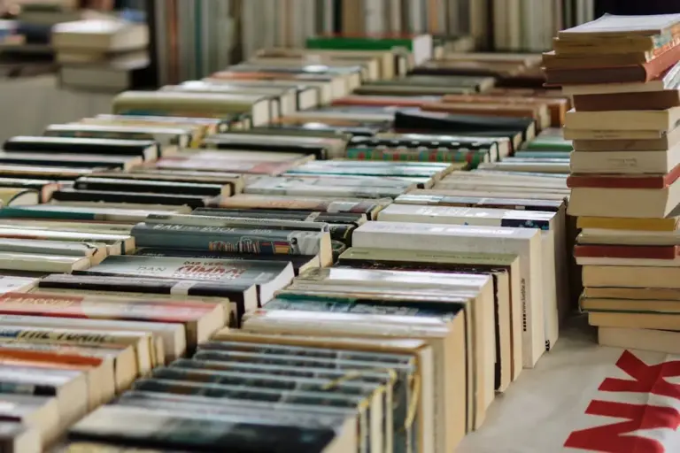 9 Greatest Astronomy Books for Beginners in 2026